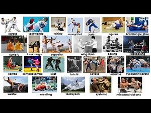 Every Fighting Style Ever Invented, Explained in 10 Minutes