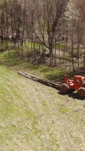 Logging Our Property | Hometownacres