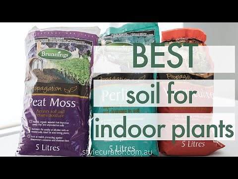 Best soil for indoor plants: Creating a potting mix houseplants will love!