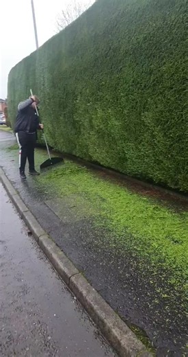 PRESTIGE LANDSCAPES AYRSHIRE (@prestigepavinglandscapes)’s videos with Trimming Your Bush (Excerpt) - Sarah Silverman