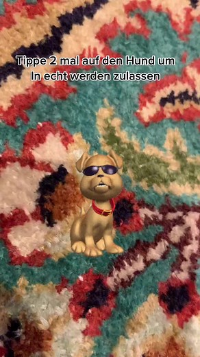 Cute Dog Animation Transforms into a Real Labrador