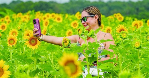 InsideNoVa wins 28 awards in Virginia Press Association competition, including best website