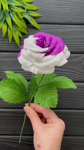 33K views · 759 reactions | Beautiful Paper Roses Crepe Paper Flower #diy #diyhomedecor #diycrafts #paperflower #flowers | Origami Amazing | Facebook