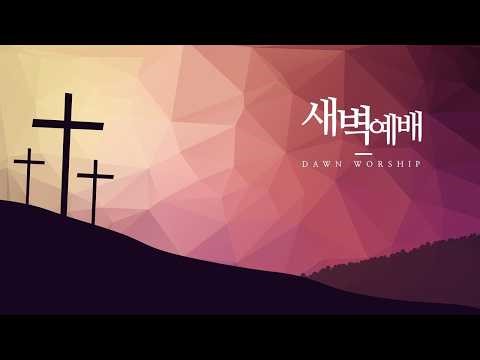 제772회 "기도 드릴 때 사실대로 해야지 시치미는 안된답니다"(욥기 10:1-22)천국에 함께 갑시다 새벽기도회