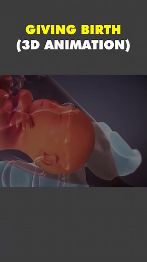 Labor And Delivery | Child Birth 3D Animation #laboranddelivery #laboranddeliver #labor #childbirth #normaldelivery #normaldelivery♥️👶 #normaldelivery🙏❤️😊 #babydelivery #babybirth #birth #medical3danimation #3dmedicalanimation