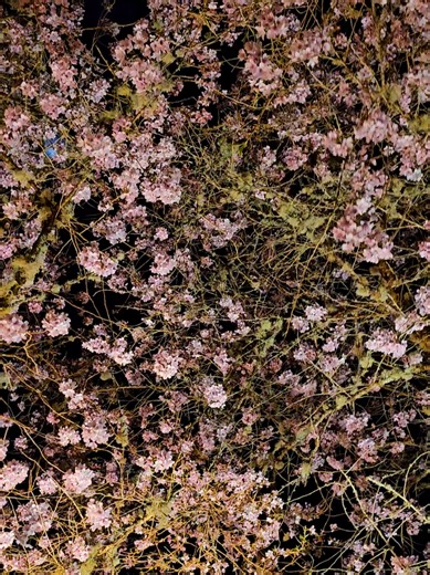 I can't write all the time. I have a demanding full time job, and an entire life outside of writing. So here's what I do to stay excited about writing 👇 1. I don't write every day...but I do create goals and a loose schedule. If I can't hit my word count for a day (or a week) I don't stress, I just reevaluate and make new goals. 2. when I do write, I write books I know I'll love. I have limited free time to spend on writing, and it doesn't really matter how many times I'm told what *the market*