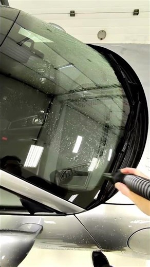 Detailing a Porsche 911 Carrera Like a Work of Art