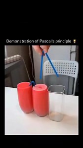 980K views · 14K reactions | El Principio de Pascal, también conocido...