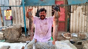 188K views · 3.8K reactions | KF FISH CUTS on Reels | Facebook