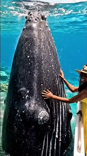 #deepsea #deepsea #marinelife #deepsea #nature #oceandiscovery