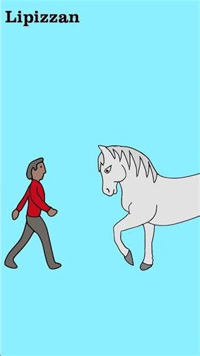 Horse Breed Size Comparison #Shetland #Standardbred #Lippizzan #Appaloosa #Clydesdale #comparison