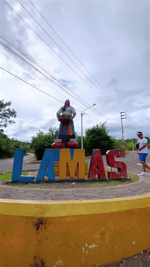Exploring Llamas in Tarapoto, Peru