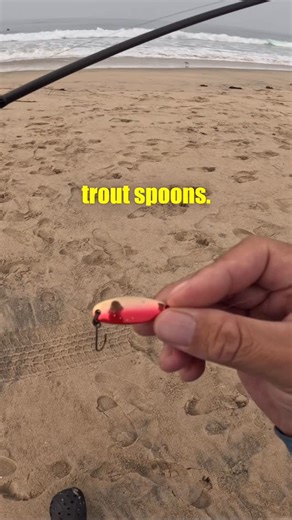 Benjie Kim on Instagram: "SoCal trout season is upon us so….lets go surf fishing 😂! First time throwing trout spoons from the surf….king tide with big swells didn’t make it easy but managed to get bit while waiting for my son to finish his SAT’s 😆. Super fun! I need to try this more often… Rod - @okumafishingusa Guide Select Pro 8’ UL 2-6 Reel - Okuma ITX CB 1k 8 lb braid w/ 6 lb Fluoro leader Lure - 7 gram spoon (forest miu) #okumafishingusa #barredsurfperch #surfperchfishing #s
