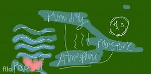 FACTORS AFFECTING THE RATE OF TRANSPIRATION Humidity: Humidity ... | Filo