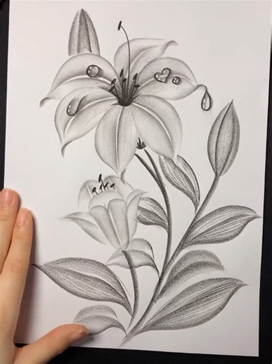 Unlock Your Pencil Drawing Skills: Step-by-Step Guide