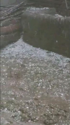 Extreme Snowfall & Crop Loss | Real Footage 2026