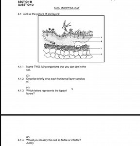 SECTION B: QUESTION 2SOIL MORPHOLOGY4.1 Look at the picture ... | Filo