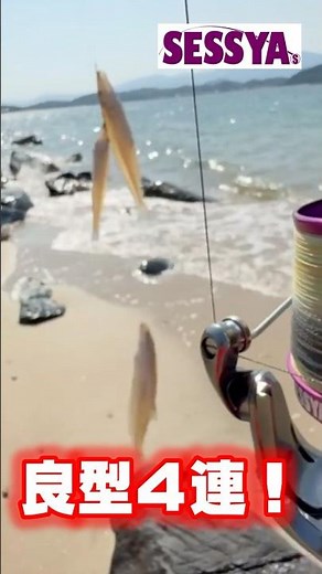 [Kisu Fishing] Foam or Solid Lead? Master Your Sinkers for a Huge Catch!