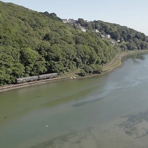 🥳 Good News - Sunday trains to Looe are back starting this weekend (3 April)! | Devon & Cornwall's Great Scenic Railways