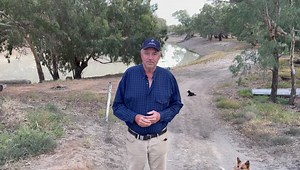 6.7K views · 304 reactions | A flood should have come down down the system filled the Menindee lakes and flooded out the lower darling and provided 8 years supply of wated to the lower Darling barka . Instead the two largest lakes in Menindee might get 25 percent capacity , and the MDBA will try and drain it as quick as they can to kill the lakes so as to justify the fake science that says the lakes evaporate two much and should be killed after 30 million years. | Tolarno Station | Facebook