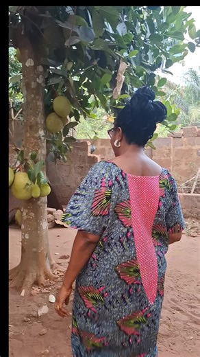 Discover the Joy of Sycamore Fruit Enjoyment