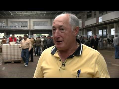 Jose Sañudo, Feria ganados de Torrelavega