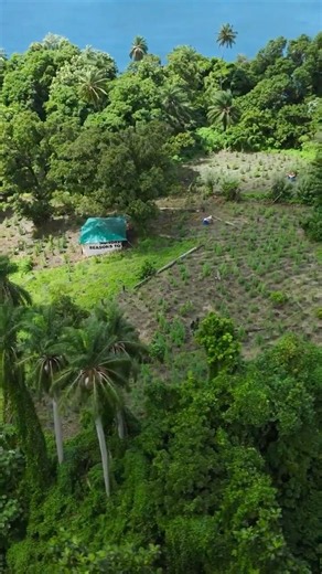 The Hidden Heritage of St. Vincent