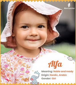 Alfa Name Meaning, Origin, History, And Popularity