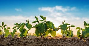 South Dakota Soybean Research and Promotion Council