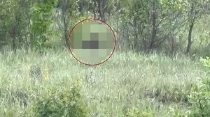 Sivas'ta köyden kent merkezine giden muhtar, yol kenarında onu görünce hemen durdu. Korkunç canlıya yaptığı cesur teklif şaşırttı