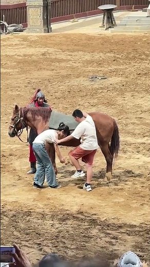 清明上河園飛身上馬環節，一對超逗的夫妻搭檔👇 男生第一次嘗試上馬沒成功，他又高又瘦的女朋友直接上手幫忙，別看姑娘瘦得像片葉子，力氣是真的大！居然把壯漢男朋友穩穩抬上了馬背～ #飛身上馬 #清