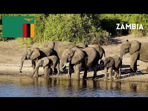 Top 10 things to do and visit in Zambia 🇿🇲