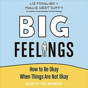 Summary: Big Feelings: How to be Okay When Things Are Not Okay by Liz Fosslien - Paminy