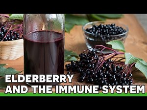 Elderberry & The Immune System | Ask the ND with Dr. Jeremy Wolf