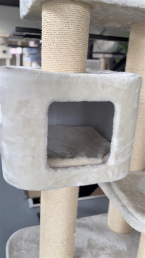 1.5K views · 15 reactions | Meet the Cat Tree Devon Rex – compact,...