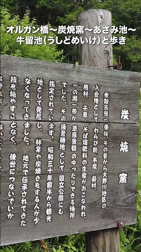 標高1590m！夏でも涼しい高原散歩！乗鞍高原ハイキング！【旅行VLOG、レビュー】 #乗鞍高原 #長野県 #松本市 #乗鞍観光センター #中部山岳国立公園 #牛留池 #休暇村 #温泉 #善五郎の滝