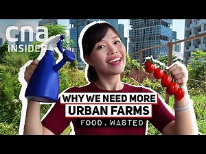 Can Urban Farming Fix Our Broken Relationship With Food? | Food, Wasted 3/3