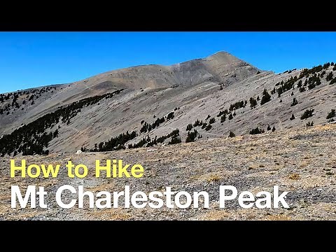Mt Charleston Peak Hike – South Loop Trail - HikingGuy.com