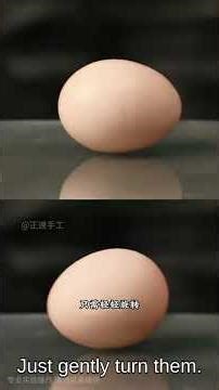 10个简单有趣的科学实验，自己在家就能做! | 10 simple and fun science experiments you can do at home!