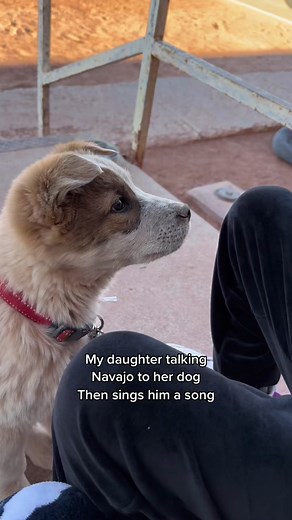 Navajo Girl Singing to Dog in Native Language