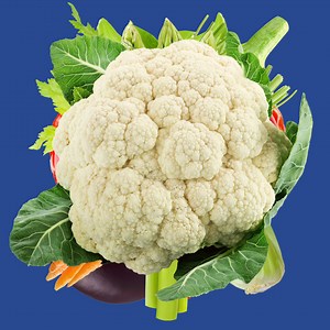 1.4K views | Maxi on Reels | Facebook