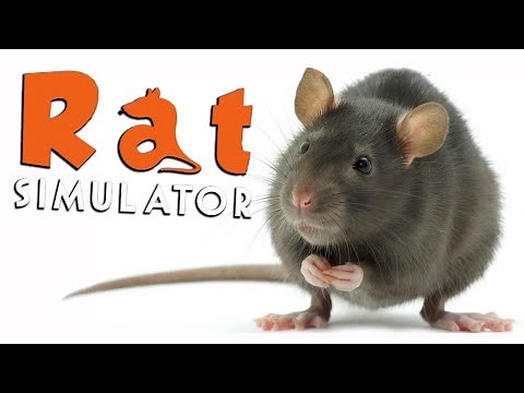 KILLER RAT!!! - Rat Simulator