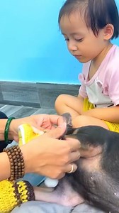 388K views · 2.9K reactions | Diem burst out laughing when saw dog wearing monkey Kaka socks #Monkeykaka | Kaka Page | Facebook