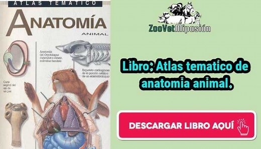 Libro: Atlas temático de anatomía animal en Formato PDF