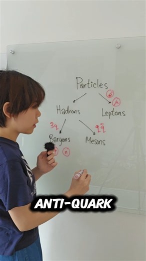 3.1K views · 103 reactions | Particles are classified into...