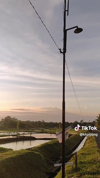 Review Xiaomi Redmi Note 8: Kamera yang Menarik