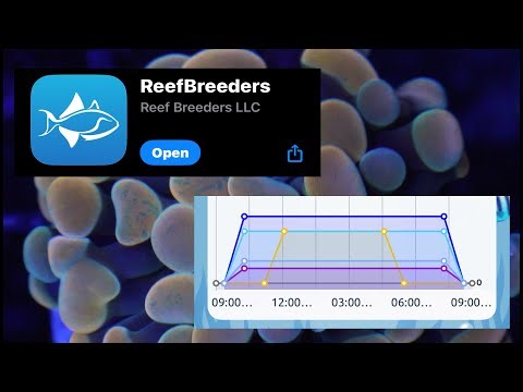 “How to Set Up & Troubleshoot ReefBreeders Meridian + Edge (Easy Guide)”