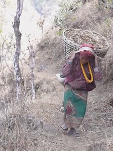 112K views · 1.3K reactions | Using primitive technology for carrying fertilizer in villages rural life.#villagelife #village #dailylife #rural #working | Village Lifestyle | Facebook