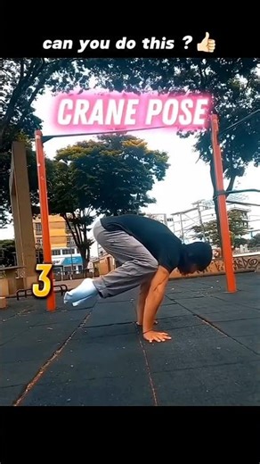 Crane pose tutorial 🥵 #calisthenics #cranepose #shorts