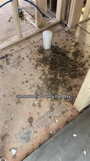 Plumbing Disaster: Ceiling Collapse in the Attic